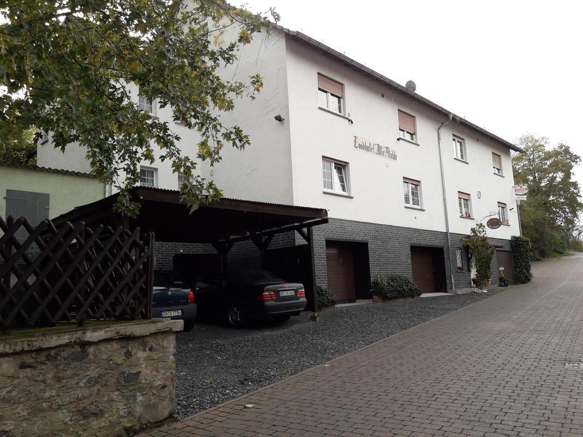 Landhotel Alte Muehle Modautal ภายนอก รูปภาพ